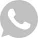 Whast logo